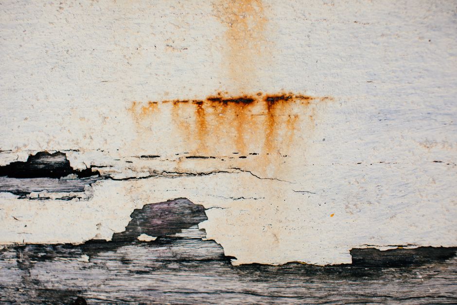 Signs of Water Damage in Your Home You Should Never Ignore — Photo by Rachel Claire on Pexels